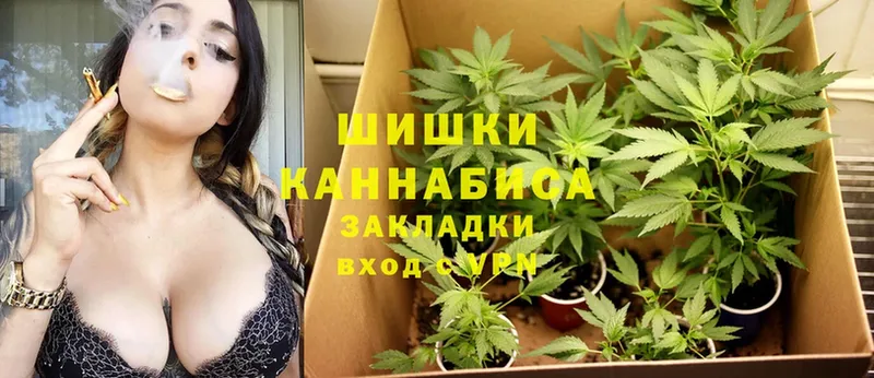 MEGA ссылка  наркотики  Истра  Каннабис LSD WEED 